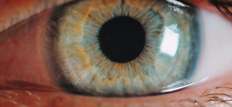 macro-view-to-green-female-eye-iris-2026-01-08-06-54-04-utc